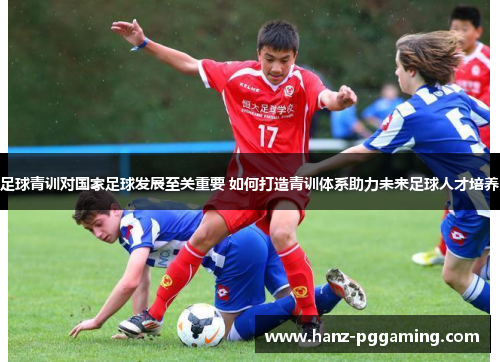 足球青训对国家足球发展至关重要 如何打造青训体系助力未来足球人才培养